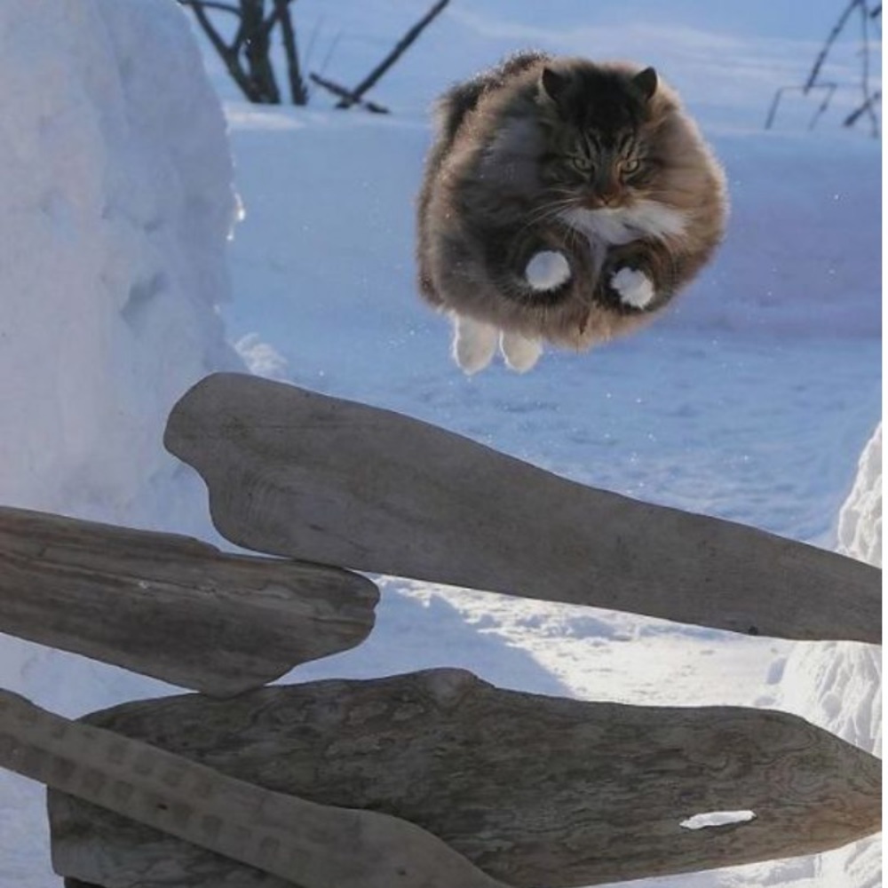 Private Listing - image 1